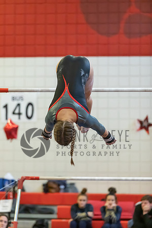 Moon Invitational - bars and beam (55 of 499)