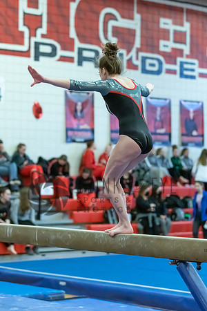Moon Invitational - bars and beam (437 of 499)