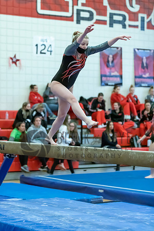 Moon Invitational - bars and beam (489 of 499)
