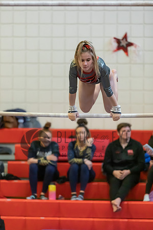 Moon Invitational - bars and beam (18 of 499)