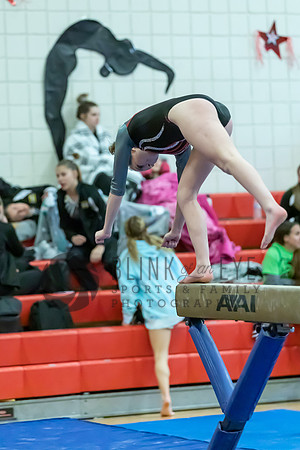 Moon Invitational - bars and beam (450 of 499)