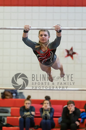 Moon Invitational - bars and beam (47 of 499)