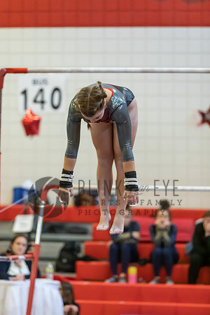 Moon Invitational - bars and beam (56 of 499)
