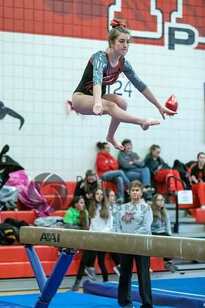 Moon Invitational - bars and beam (449 of 499)