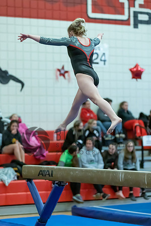 Moon Invitational - bars and beam (482 of 499)