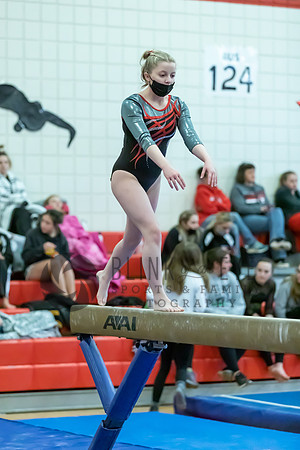 Moon Invitational - bars and beam (488 of 499)