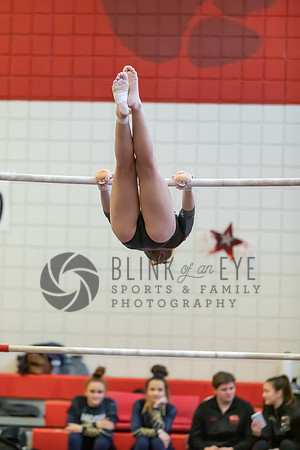 Moon Invitational - bars and beam (23 of 499)