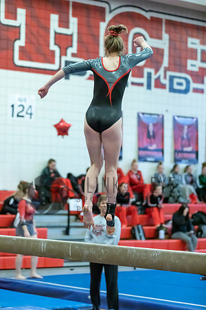 Moon Invitational - bars and beam (268 of 499)