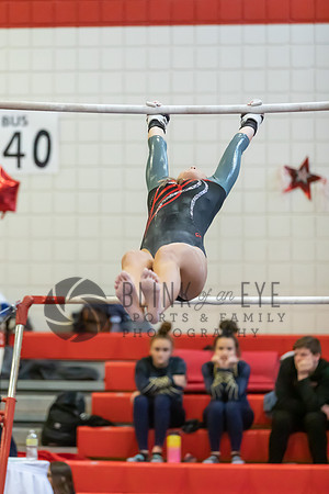 Moon Invitational - bars and beam (53 of 499)