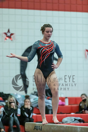 Moon Invitational - bars and beam (223 of 499)