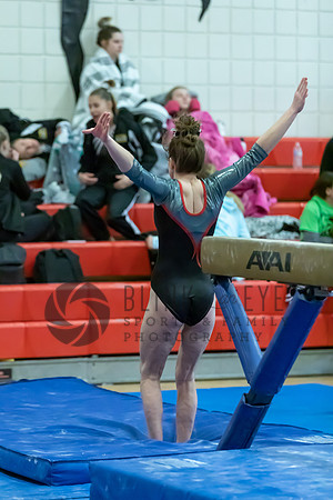 Moon Invitational - bars and beam (455 of 499)