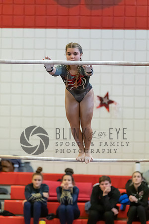 Moon Invitational - bars and beam (45 of 499)