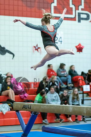 Moon Invitational - bars and beam (481 of 499)