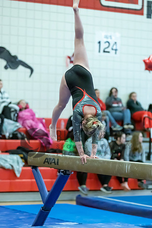Moon Invitational - bars and beam (470 of 499)