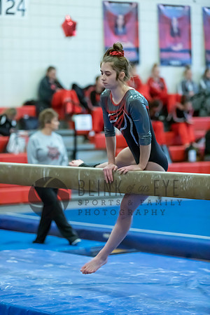 Moon Invitational - bars and beam (261 of 499)