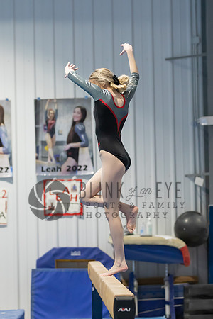 Balance Beam (114 of 213)