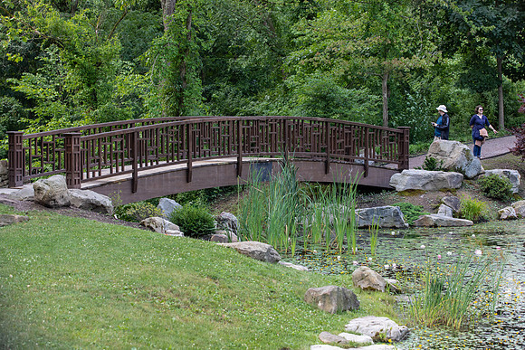 Botanic Gardens (9 of 40)