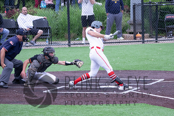 PIAA Quarterfinals (101 of 218)