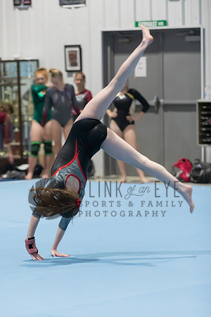 Senior Night Floor and Vault (54 of 599)
