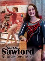 Gymnastics Banner 3x4 Sara Final