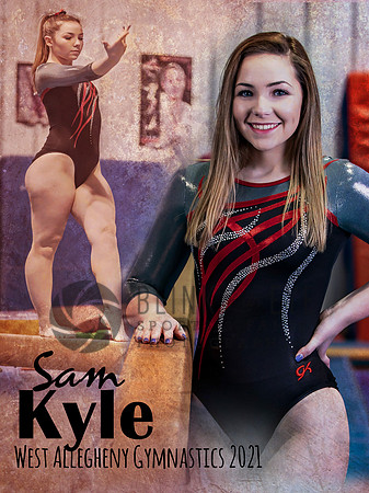 Gymnastics Banner 3x4 Sam Final