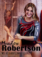 Gymnastics Banner 3x4 Meadow final