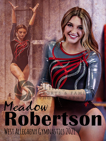 Gymnastics Banner 3x4 Meadow final