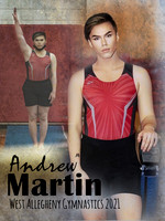 Gymnastics Banner 3x4 Andrew final