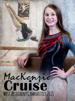 Gymnastics Banner 3x4 Cruise final