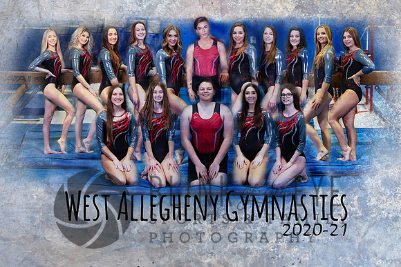 Gymnastics Team Montage