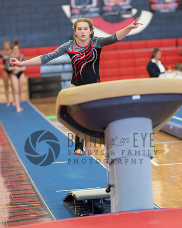 PA Classics Vault (1 of 300)
