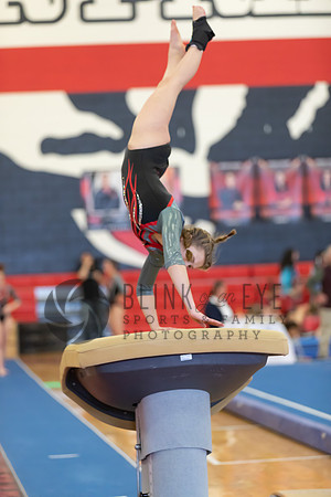 PA Classics Vault (2 of 300)