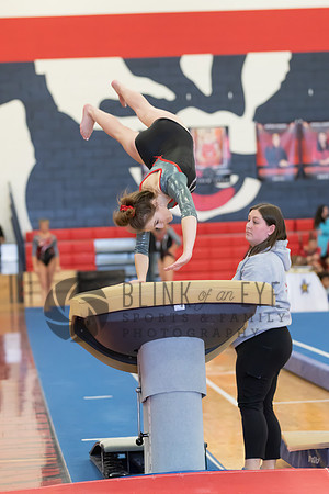 PA Classics Vault (6 of 300)