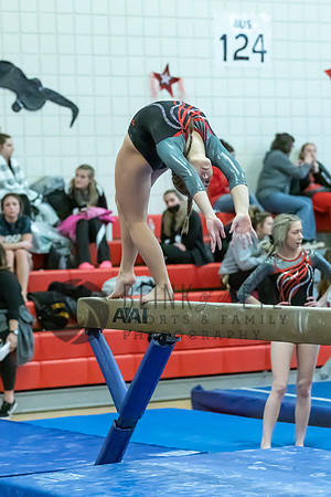 Moon Invitational - bars and beam (344 of 499)