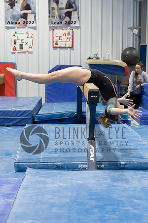 Balance Beam (87 of 213)
