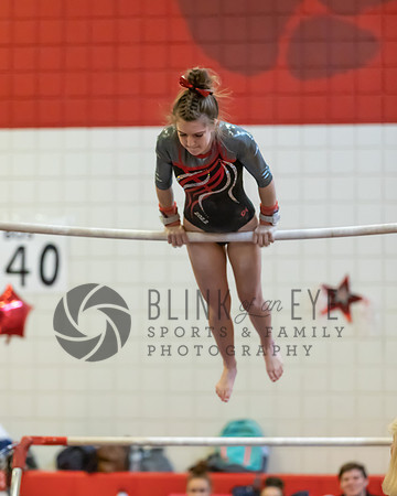 Moon Invitational - bars and beam (195 of 499)