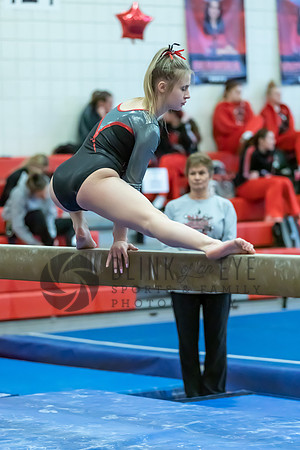 Moon Invitational - bars and beam (286 of 499)