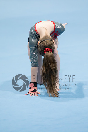 Senior Night Floor and Vault (32 of 599)