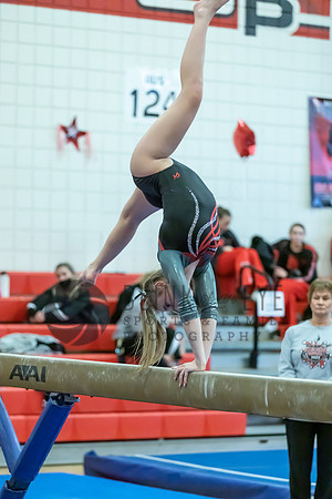 Moon Invitational - bars and beam (293 of 499)