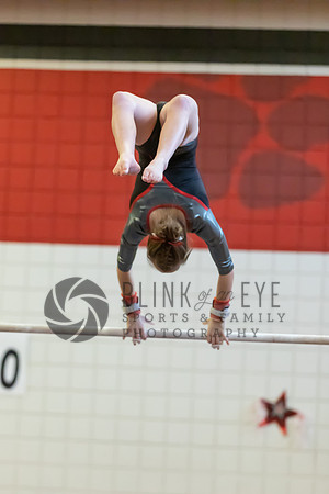 Moon Invitational - bars and beam (200 of 499)