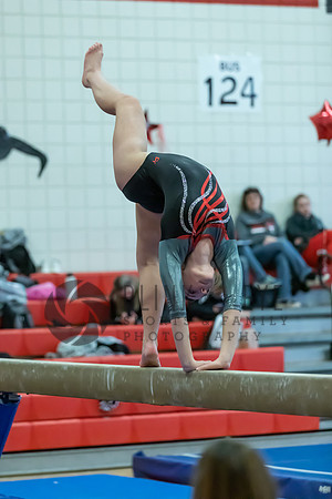 Moon Invitational - bars and beam (218 of 499)