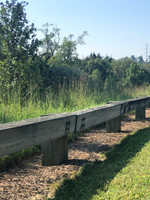 Findlay Park