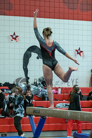 Moon Invitational - bars and beam (231 of 499)