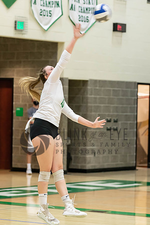 SF Volleyball Senior Night (88 of 211)
