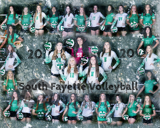 SF Volleyball Team1