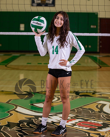 SF Volleyball Team and Underclassmen (140 of 163)