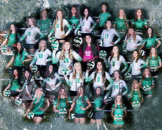 SF Volleyball Team2