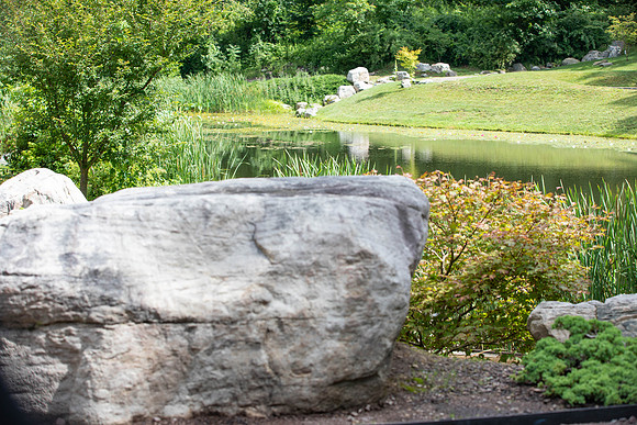 Botanic Gardens (1 of 40)