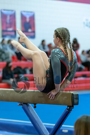 Moon Invitational - bars and beam (330 of 499)