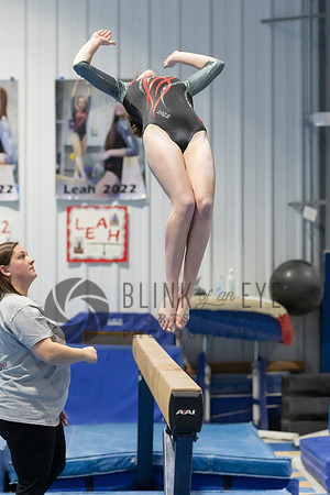 Balance Beam (176 of 213)